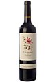 Priorat Young Red Crianza wine Camins del Priorat 2013