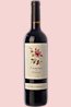 Priorat Young Red Crianza wine Camins del Priorat 2013