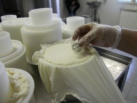 Pressing and identifying the cheeses