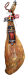 Bone-in