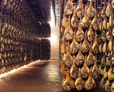 Jamon Serrano maturing