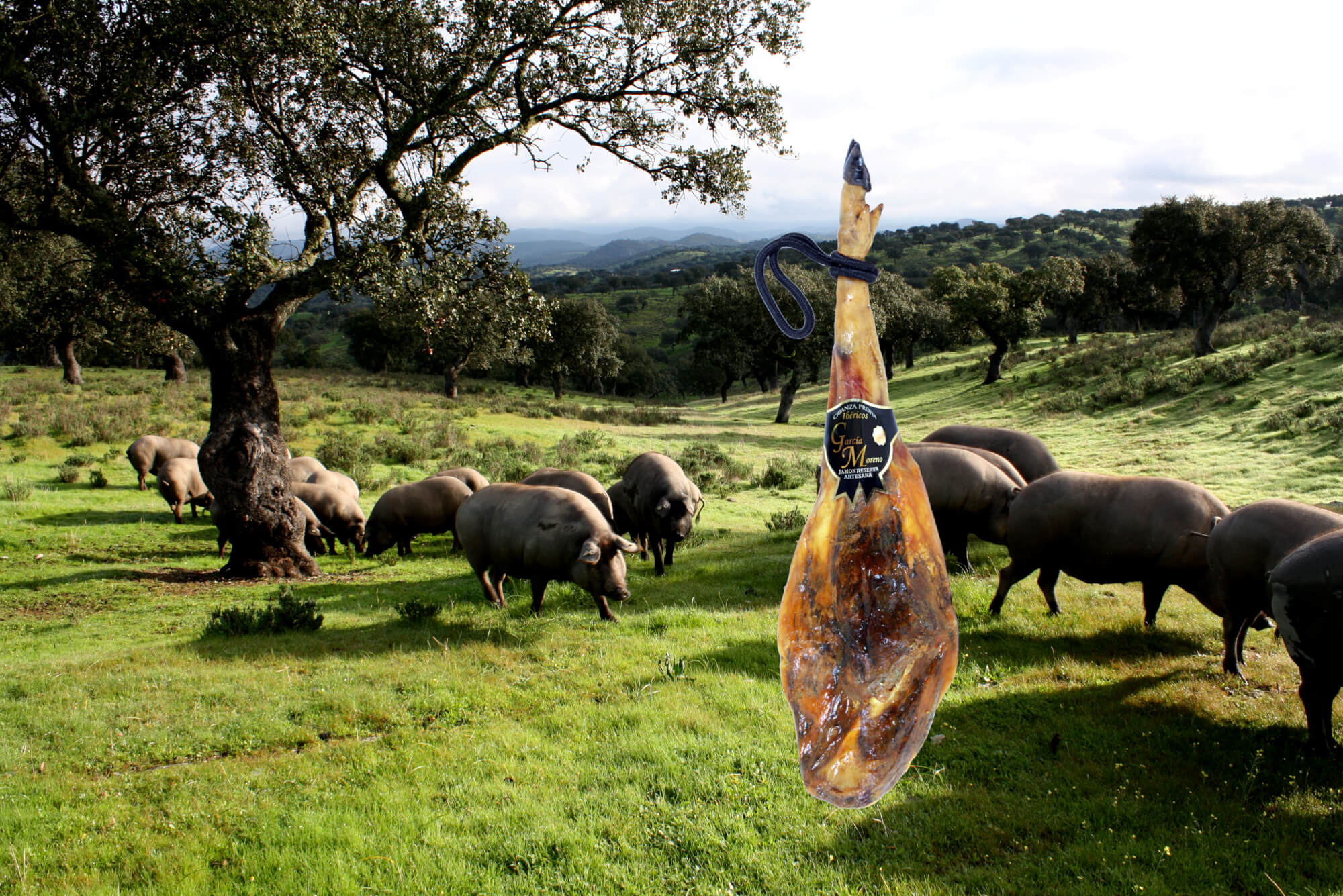 20% off Jamon GM e Hijos Ham