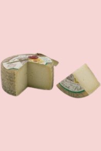 Vicente Pastor Zamorano Sheep Milk Cheese