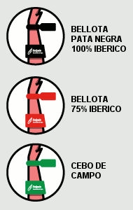 Official labeling of Spanish jamon from Guijuelo